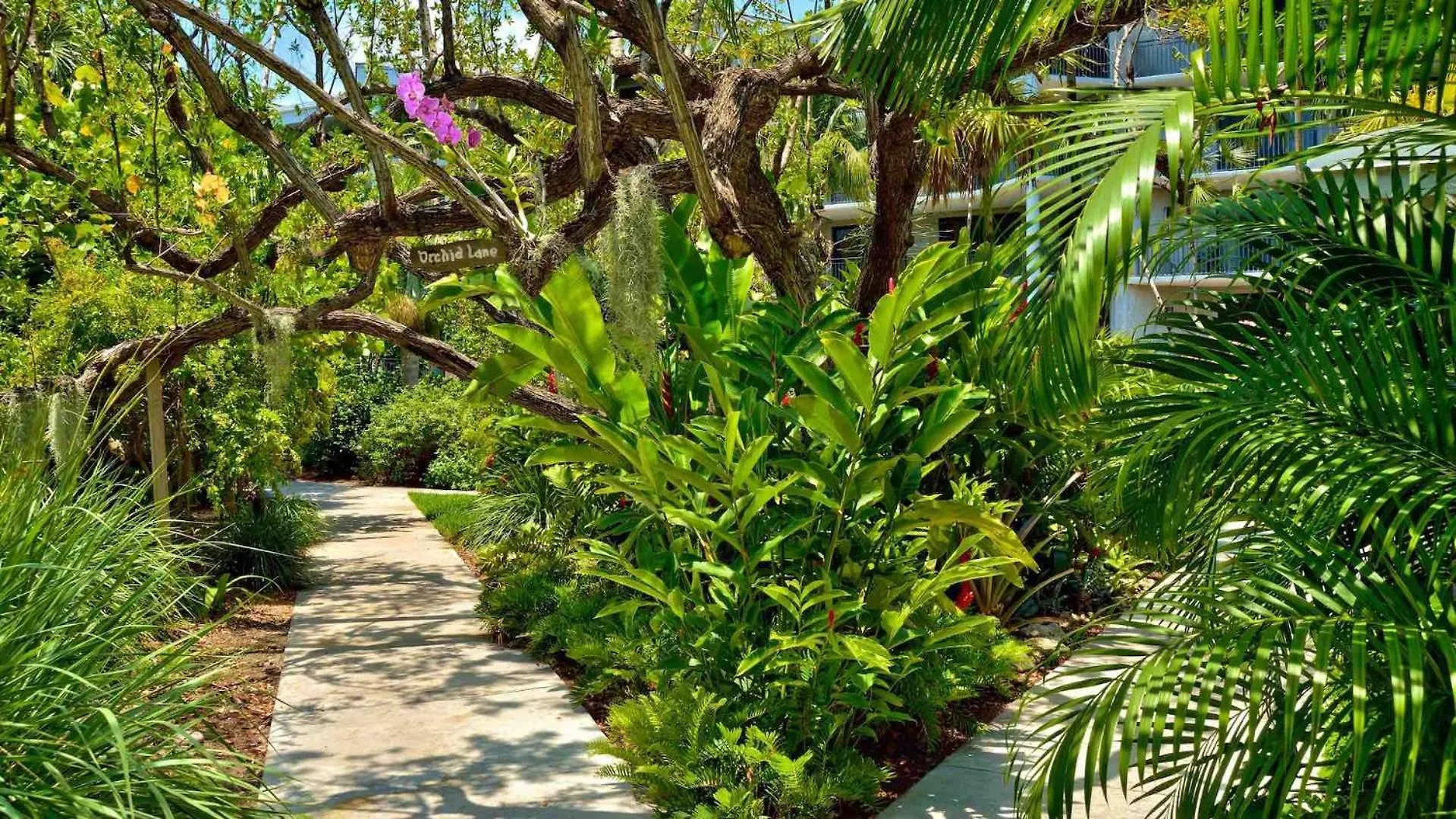 Riviera Americana By Last Key Realty Key West United States